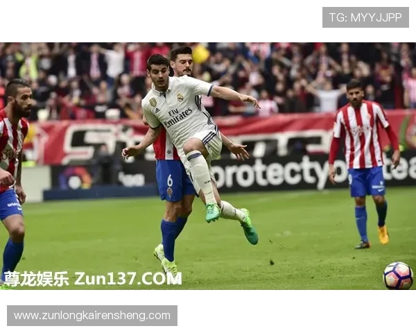 尊龙体育下载官网详细的新手指南，帮助初次接触体育博彩的用户快速掌握操作技巧